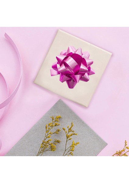 No:2 Pembe Hediye Paketi Süsü