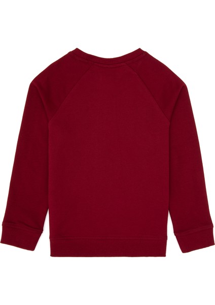 Erkek Çocuk Bordo Sweatshirt 50313832-VR014 fiyatları