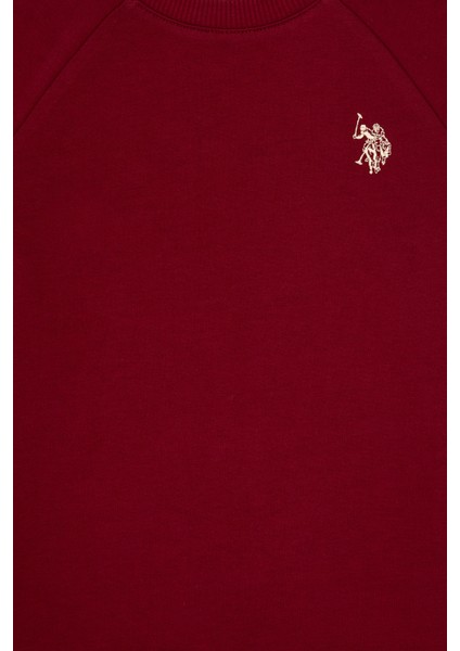 Erkek Çocuk Bordo Sweatshirt 50313832-VR014 modelleri