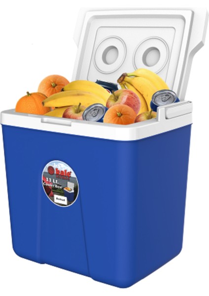 11 Lt Buzluk Termos (1020 Cooler Box) fırsatları