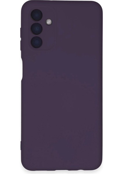 Bfs Samsung Galaxy A24 4g Kılıf Nano Içi Kadife Silikon - Mor