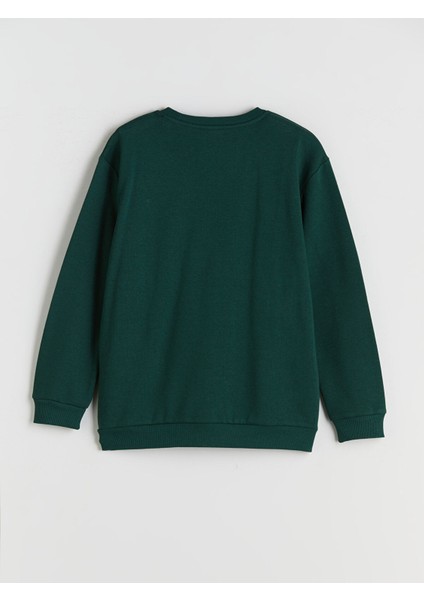 Yeni Sezon Bisiklet Yaka Erkek Çocuk Sweatshirt fiyatları