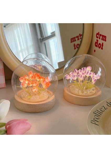 LED Işıklı Kendin Yap Lale Cam Küre fırsatları