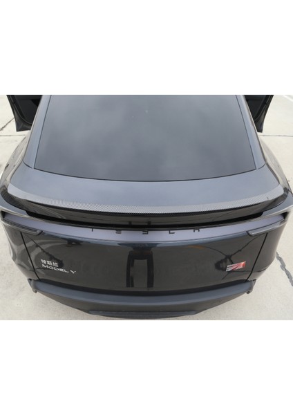 Tesla Model Y Juniper Pro Version Blow Mat Karbon Fiber Görünüm Spoiler modelleri