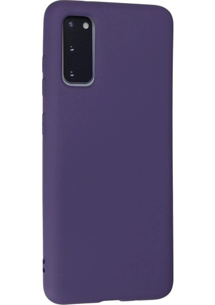 Bfs Samsung Galaxy S20 Kılıf Nano Içi Kadife Silikon - Mor modelleri