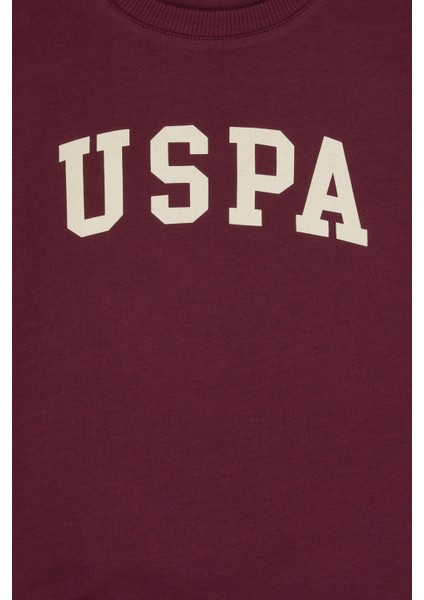 Erkek Çocuk Plum Sweatshirt 50313830-VR177 modelleri