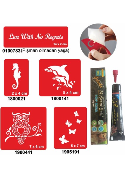 Kuş ve Balık Desenleri Hint Kınası ile Geçici Dövme Yapma Seti