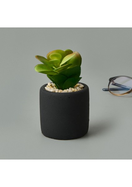 Mini Pot Sukulent - Siyah - 8X6X6 cm fiyatları