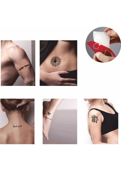 Kaplan Mandala Desenleri Hint Kınası ile Geçici Dövme Yapma Seti fiyatları