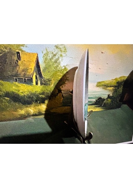 Giraud Limoges France 24 cm Çapında Porselen Dekor Tabağı -87065