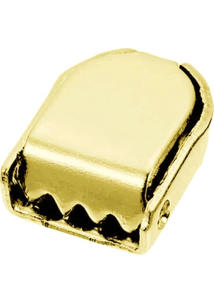 Gold Altın Renk Metal Ayakkabı Bağcık Ucu Klipsi 30 Adet