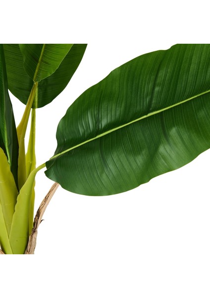 Hasır Efekt Saksıda Muz Ağacı - Renkli - 130 cm modelleri