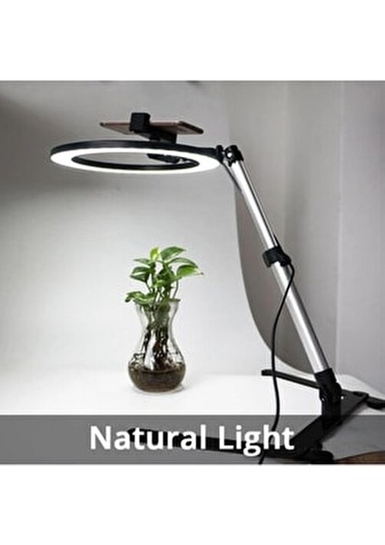 Masaüstü Ürün Çekim Standı Video ve Fotoğraf Çekimi 10" Ring Light Tripod Selfie Işığı Çekim Işığı fiyatları
