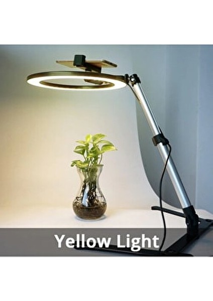 Masaüstü Ürün Çekim Standı Video ve Fotoğraf Çekimi 10" Ring Light Tripod Selfie Işığı Çekim Işığı modelleri