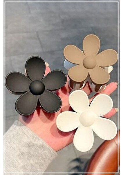 Kadın 3'lü Kahve Papatya Mandal Toka Seti