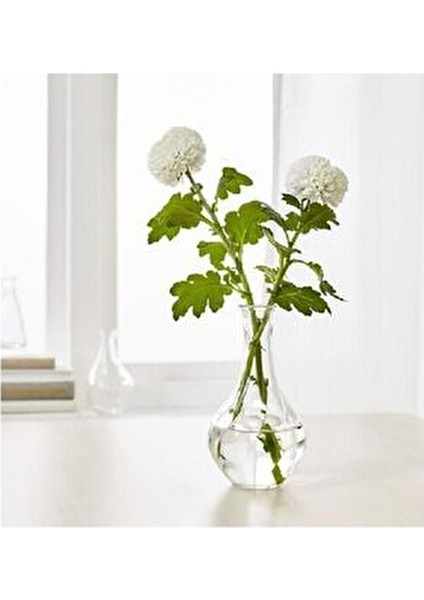 Dekoratif Cam Vazo 2'li 17 cm fiyatları