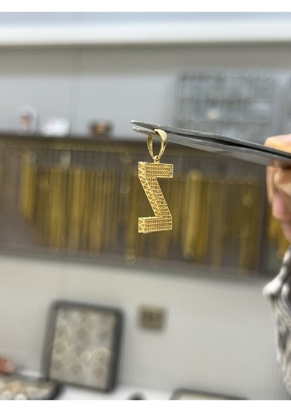 14 Ayar Altın Büyük Füzyon Z Harfli Kolye Ucu modelleri