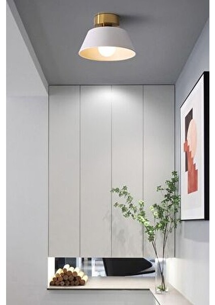 Dolly Modern Hol Koridor Giriş Için Tekli Plofonyer Metal Avize