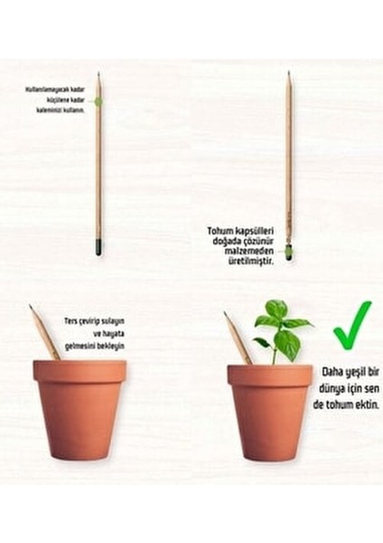 Efsane Bisküvi Çikolata Atıştırmalık Paketi No:27 . Tohumlu Kalem Hediyeli fırsatları