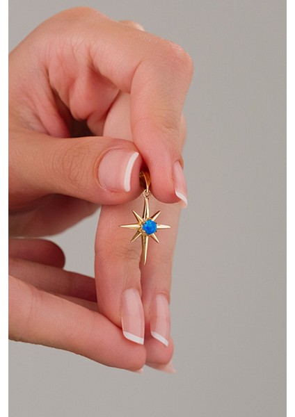 14 Ayar Altın Kuzey Yıldızı Kolye Ucu