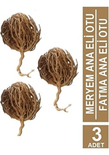 Kolay Doğum Için Meryem Ana Fatma Ana Eli Otu 3 Adet