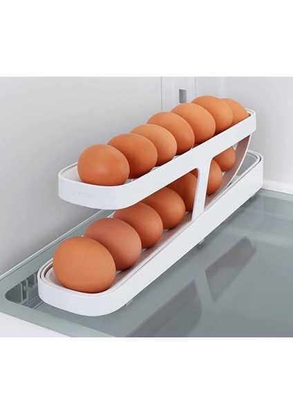 Yeni Nesil Yumurta Standı modelleri