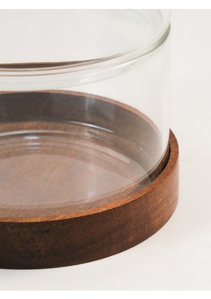 Ravi Akasya 3'lü Cam Kase fırsatları