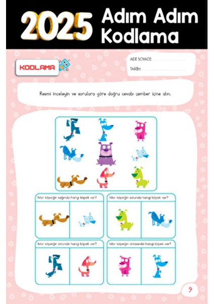 4-6 Yaş Okul Öncesi Adım Adım Kodlamaya Giriş - Canan Demir Pembe Büyük Boy fiyatları