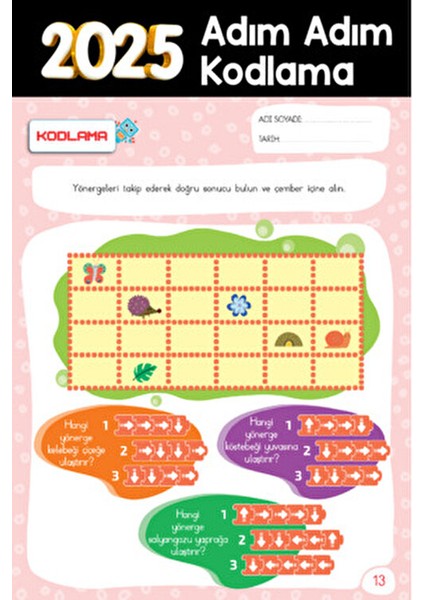 4-6 Yaş Okul Öncesi Adım Adım Kodlamaya Giriş - Canan Demir Pembe Büyük Boy fırsatları