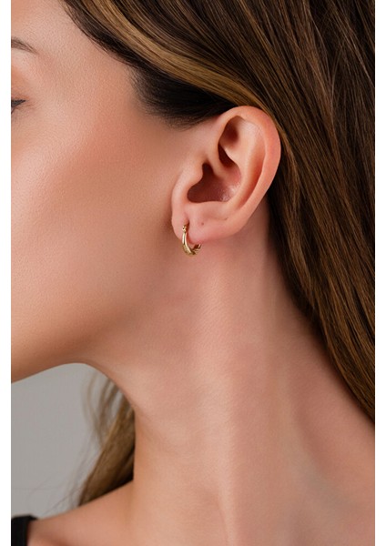 14 Ayar Altın Zarif Desenli Verona Model Halka Küpe