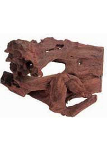 Zengezur Mangrove Akvaryum Kütüğü ml (15 Ad.)