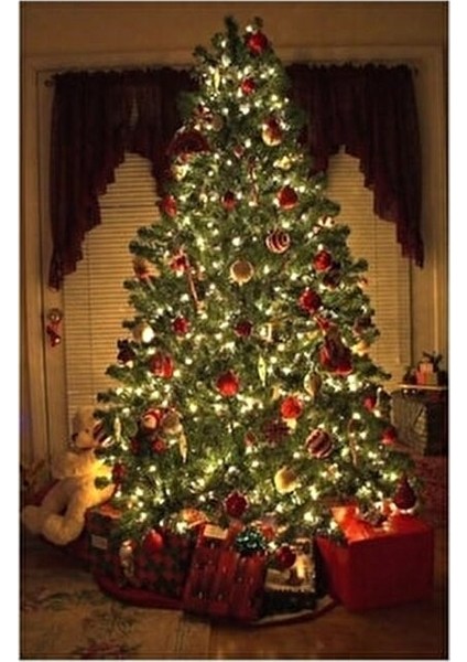 Yılbaşı Işığı 20 Ledli 3 Metre Pilli Dekoratif Şeffaf Kablolu Süs LED fırsatları