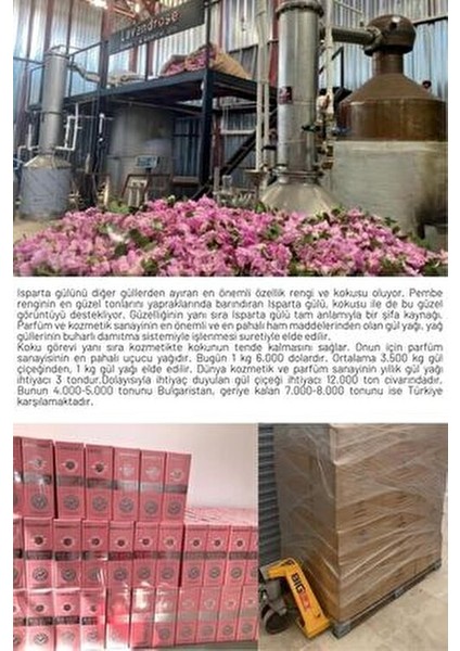 Gerçek Saf Gül Yağı 1 ml Isparta Gülünden Elde Edilmiştir. Analiz Sertifikalı %100 Saf ve Doğaldır. fırsatları