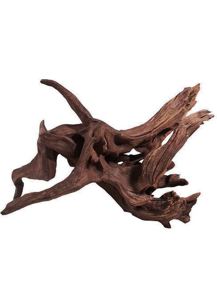 Zengezur Mangrove Akvaryum Kütüğü Xxl (1)