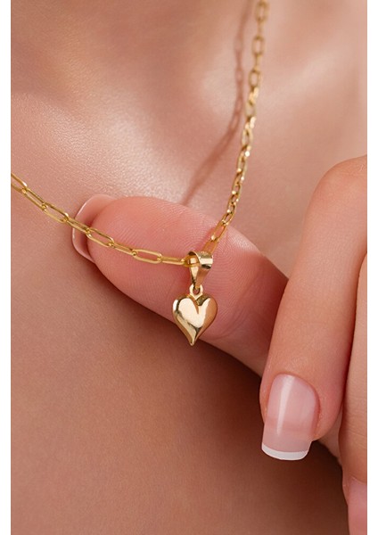 14 Ayar Altın Ataç Sivri Kalp Kolye fiyatları