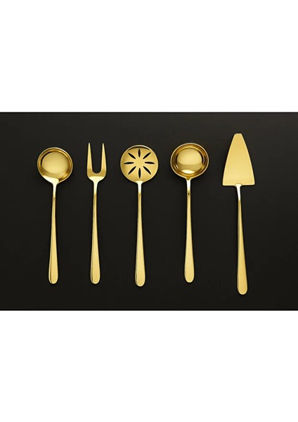 Osiris Model 5 Parça Titanyum Gold Sos Servis Seti (Küçük Boy)