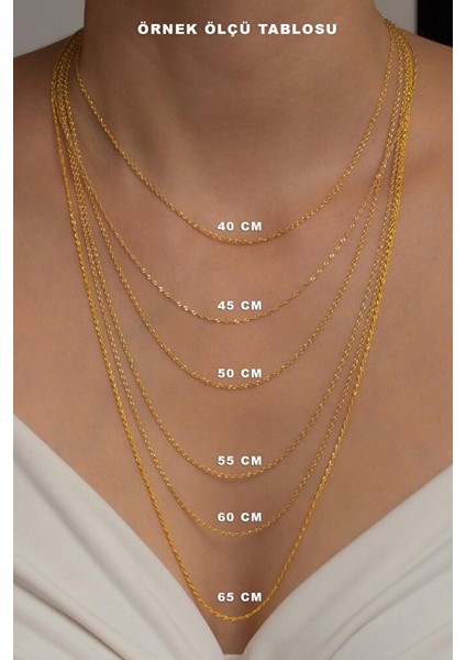 14 Ayar Altın Viyana Zincir Kolye fırsatları