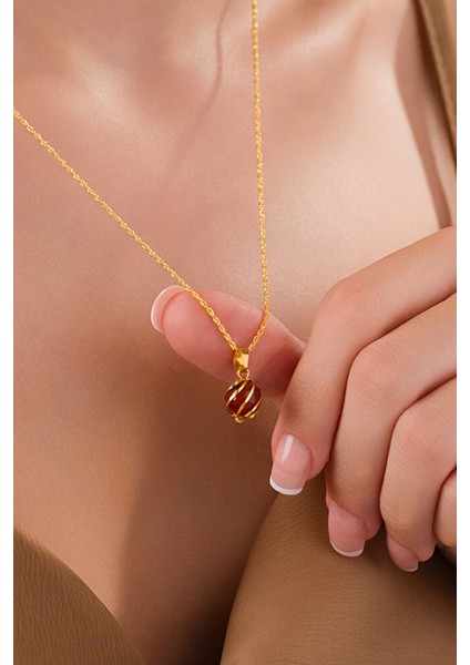 14 Ayar Altın Akik Kafesli Burgu Kolye fiyatları