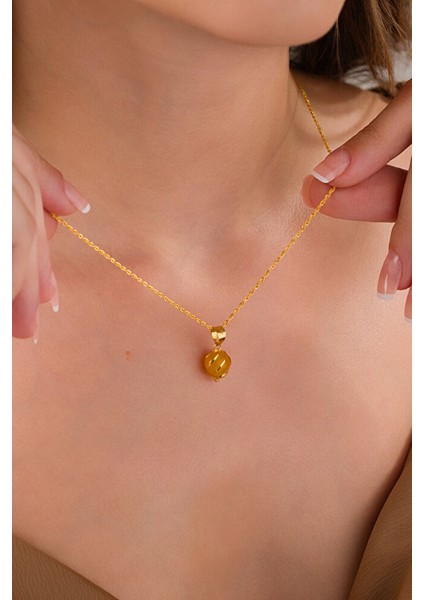 14 Ayar Altın Kehribar Kafesli Burgu Kolye fiyatları