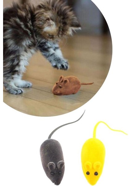 2li Evcil Hayvan Eğitim Sevimli Elastik Kedi Fare Yakalama Interaktif Sesli Eğitim Oyuncağı (5067) indirimleri