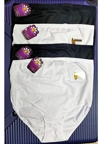 Modal Hamile Külot Paket 4 Adet