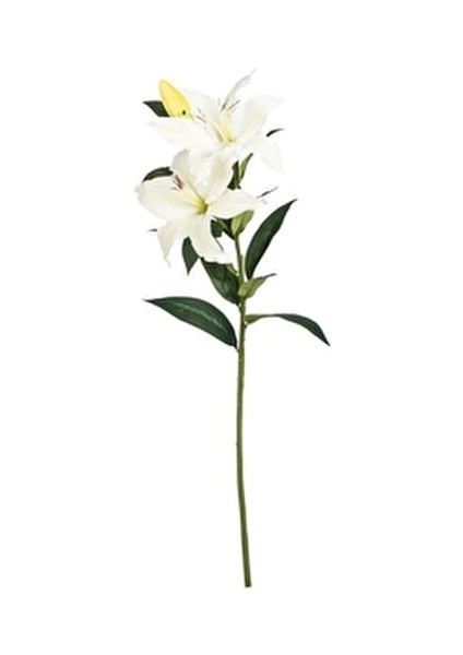 Zambak Çiçeği Beyaz 85CM