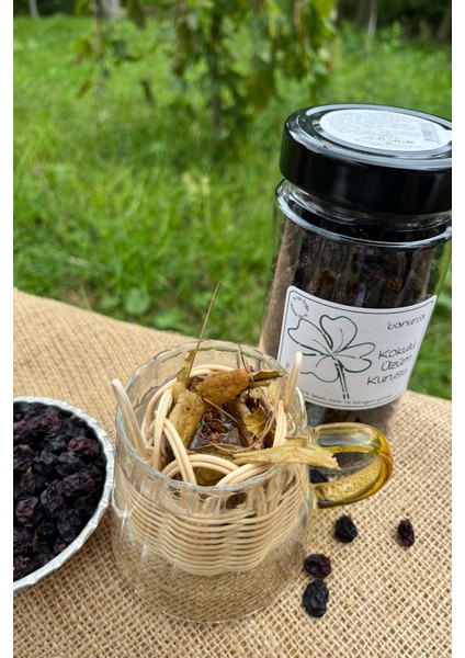 El Yapımı Bambu Çay Süzgeci fiyatları