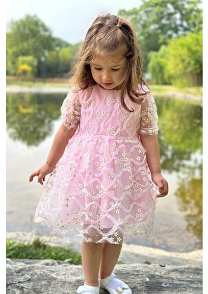 Kız Bebek Elbise Kız Çocuk Elbise Doğum Günü Parti Düğün Elbise Dantelli Kısa Kol astarlı elbise
