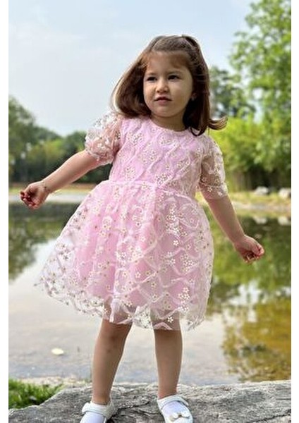Kız Bebek Elbise Kız Çocuk Elbise Doğum Günü Parti Düğün Elbise Dantelli Kısa Kol astarlı elbise fiyatları