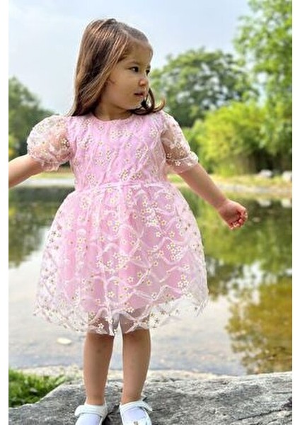 Kız Bebek Elbise Kız Çocuk Elbise Doğum Günü Parti Düğün Elbise Dantelli Kısa Kol astarlı elbise fırsatları