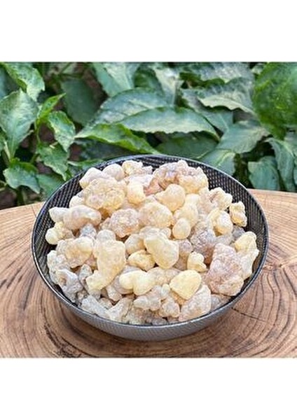 %100 Doğal Akgünlük Sakızı Sığla Ağacı Reçinesi Günlük Bitkisi Bahur (Buhur) Reçine 50 gr fiyatları