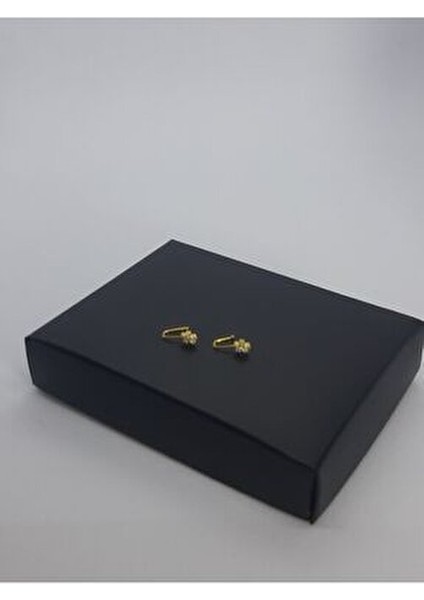 925 Ayar Gümüş (2 Adet) Altın Kaplama Zirkon Taşlı (Deliksiz) ''yıldız'' Hızma(En:4mm Boy 4mm) fırsatları