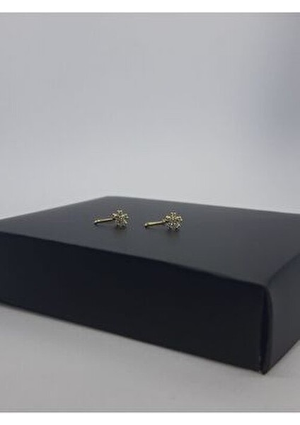 925 Ayar Gümüş (2 Adet) Altın Kaplama Zirkon Taşlı (Deliksiz) ''yıldız'' Hızma(En:4mm Boy 4mm) indirimleri