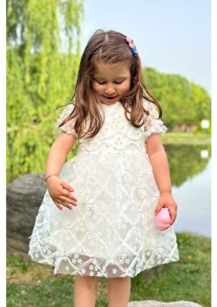 Kız Bebek Elbise Kız Çocuk Elbise Doğum Günü Parti Düğün Elbise Dantelli Kısa Kol astarlı elbise